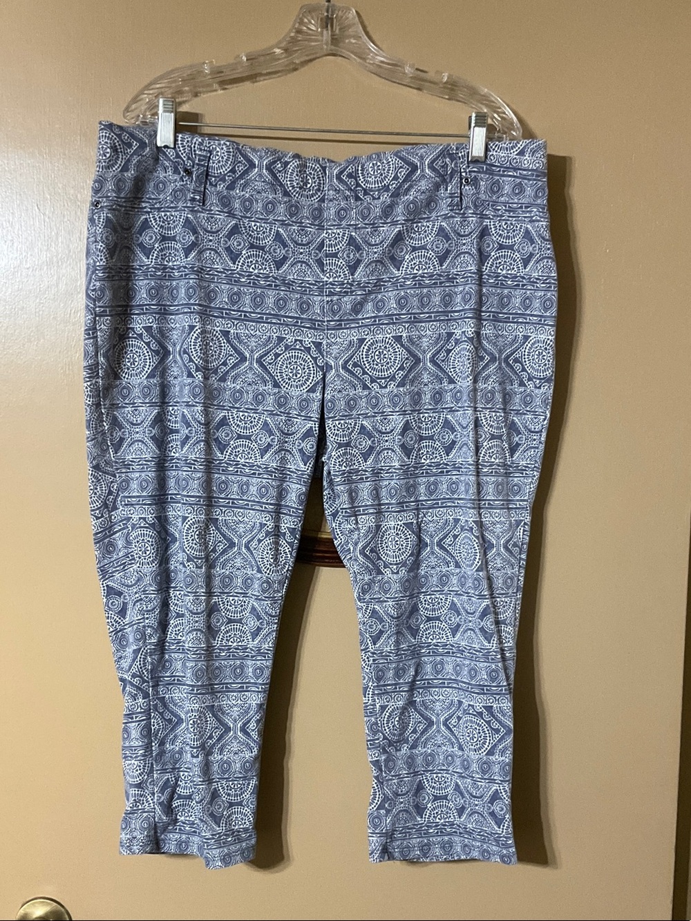 Terra & Sky Blue and White Printed Crop Pants